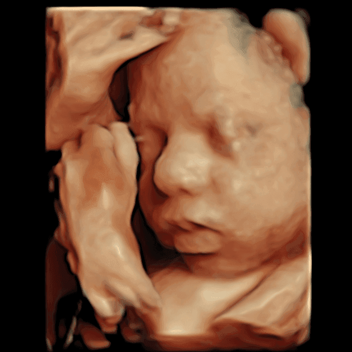 Tabbed Box Image