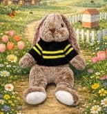 Cuddles The Rabbit